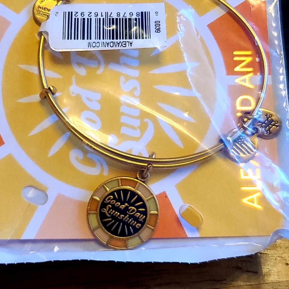 Alex and Ani Good Day Sunshine Charm Bracelet - Rafaelian Gold New w/tags,Box